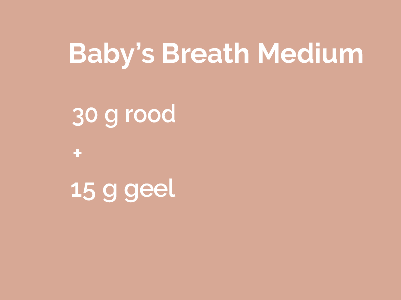 Baby's breath medium.png
